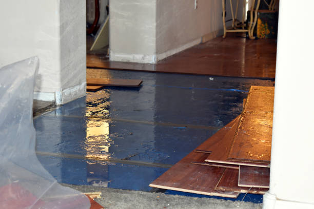 Professional Emergency Water Damage Restoration technician working in Morgantown, MS